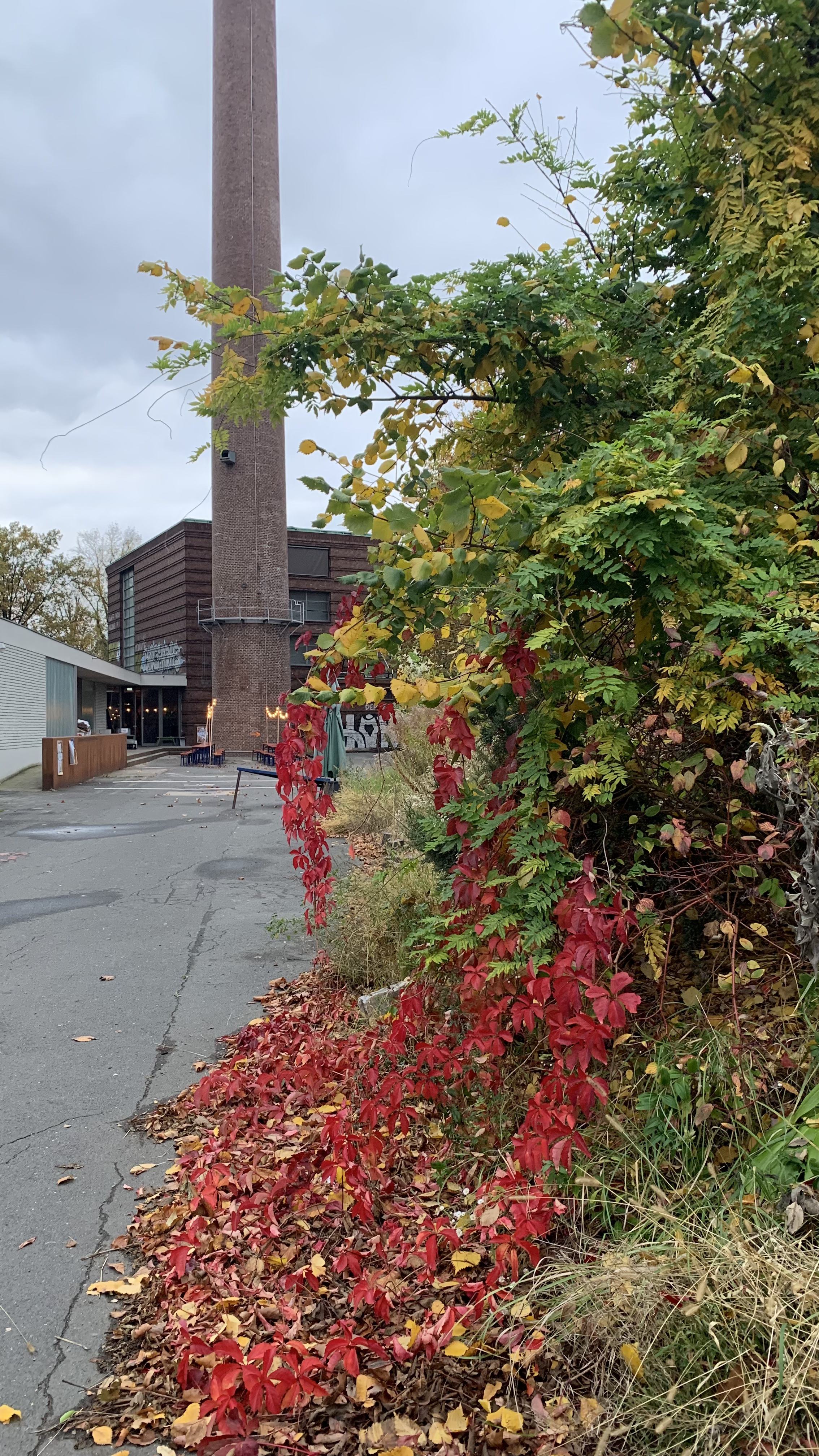 Zur Zeit keine öffentlichen Veranstaltungen