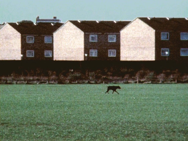Hackney Marshes by John Smith – November 4th 1977