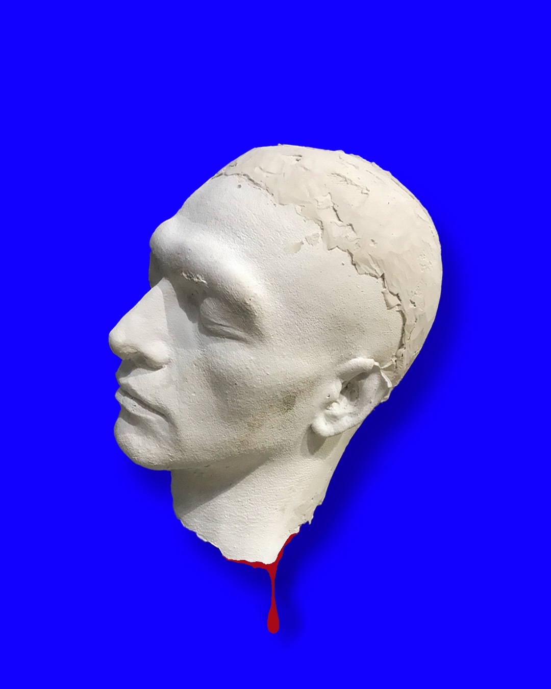Salomé 8 The Head