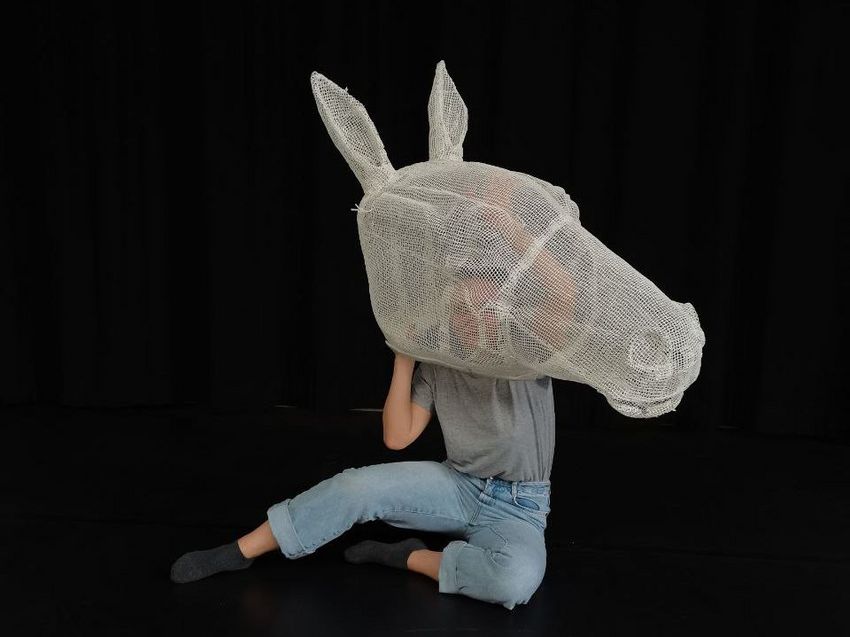 Everyone here is a bit of a horse