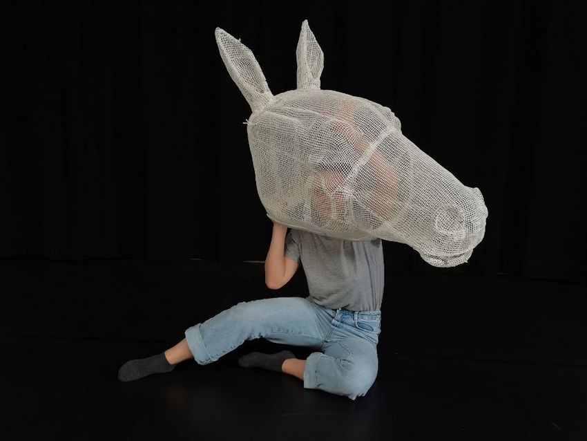 Everyone here is a bit of a horse